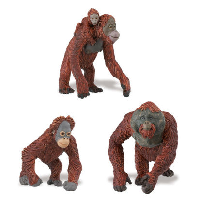 Safari Ltd Special Offers